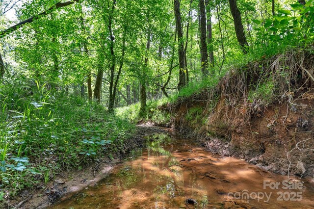 0000 Green Rd, Lancaster, SC 29720 - photo 3