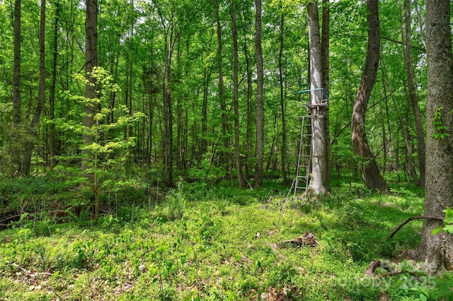 0000 Green Rd, Lancaster, SC 29720 - photo 4