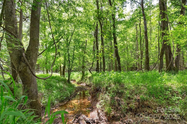 0000 Green Rd, Lancaster, SC 29720 - photo 1