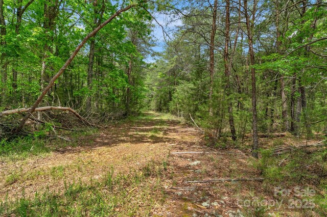 0000 Green Rd, Lancaster, SC 29720 - photo 6