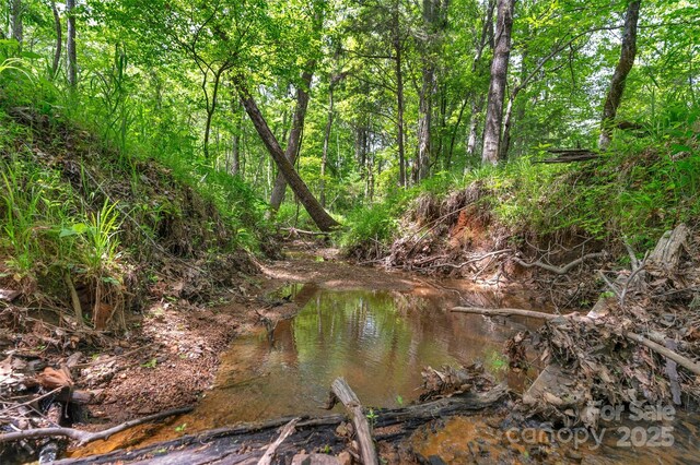 0000 Green Rd, Lancaster, SC 29720 - photo 8