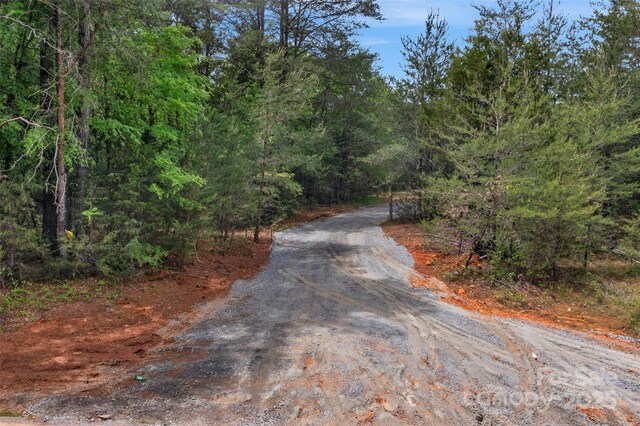0000 Green Rd, Lancaster, SC 29720 - photo 10