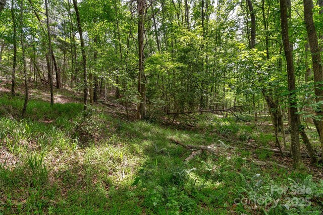 0000 Green Rd, Lancaster, SC 29720 - photo 11