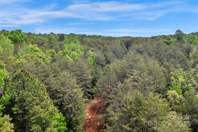 0000 Green Rd, Lancaster, SC 29720 - photo 12
