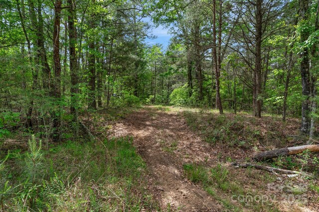 0000 Green Rd, Lancaster, SC 29720 - photo 14