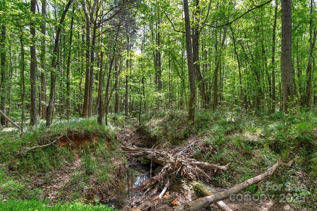0000 Green Rd, Lancaster, SC 29720 - photo 15