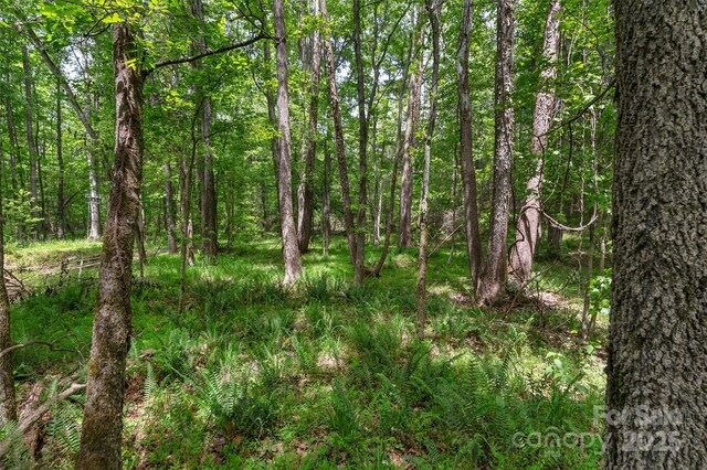 0000 Green Rd, Lancaster, SC 29720 - photo 16