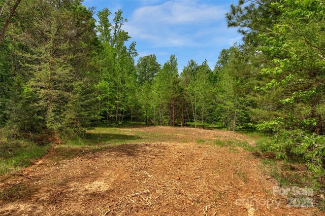 0000 Green Rd, Lancaster, SC 29720 - photo 17