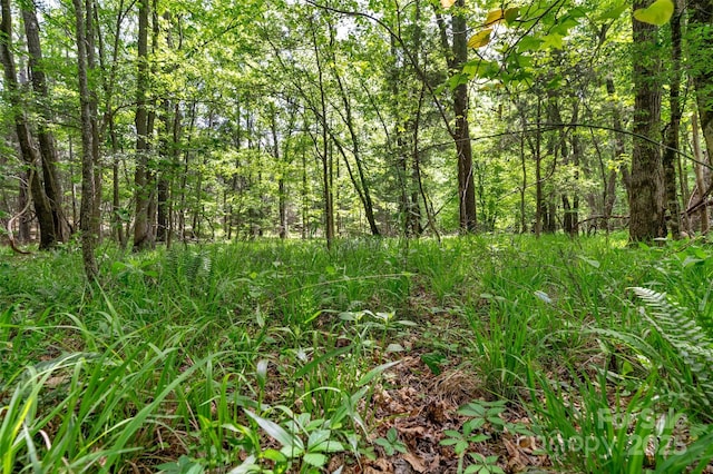0000 Green Rd, Lancaster, SC 29720 - photo 19