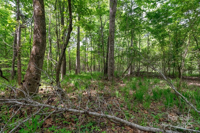 0000 Green Rd, Lancaster, SC 29720 - photo 20