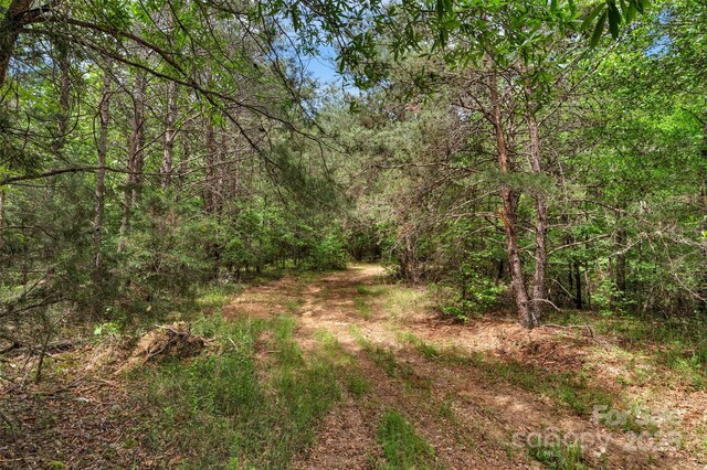 0000 Green Rd, Lancaster, SC 29720 - photo 21