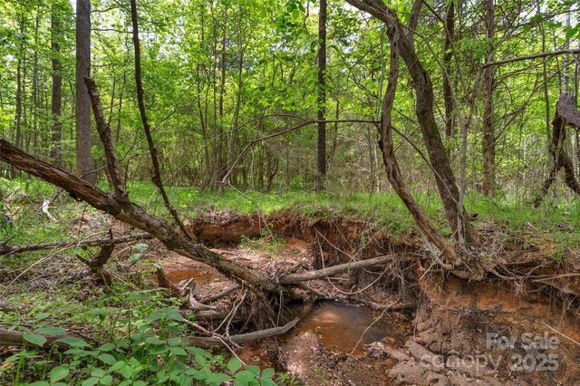 0000 Green Rd, Lancaster, SC 29720 - photo 23