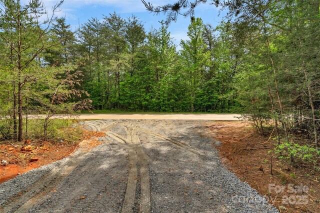 0000 Green Rd, Lancaster, SC 29720 - photo 24