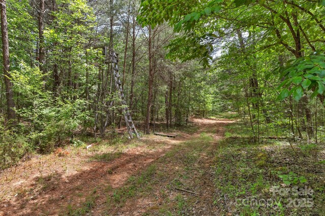 0000 Green Rd, Lancaster, SC 29720 - photo 26