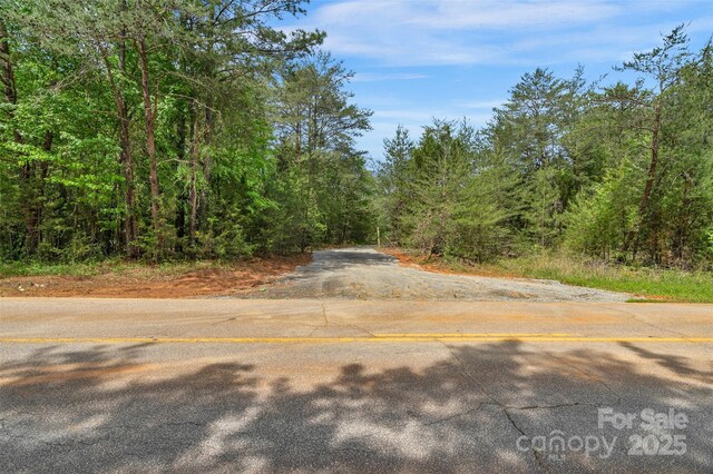 0000 Green Rd, Lancaster, SC 29720 - photo 28