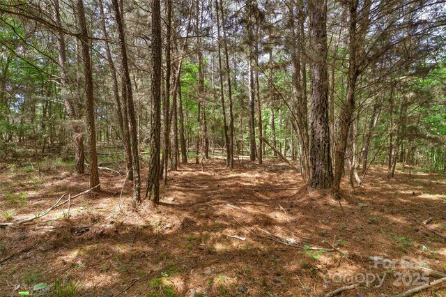 0000 Green Rd, Lancaster, SC 29720 - photo 30