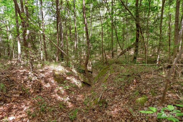0000 Green Rd, Lancaster, SC 29720 - photo 31