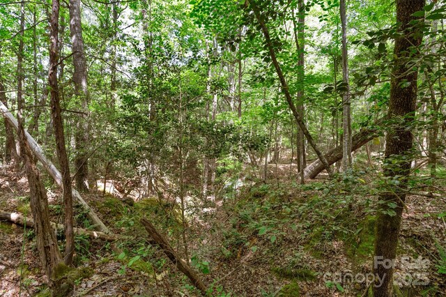 0000 Green Rd, Lancaster, SC 29720 - photo 32