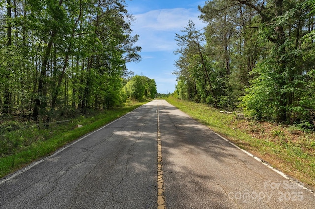 0000 Green Rd, Lancaster, SC 29720 - photo 33