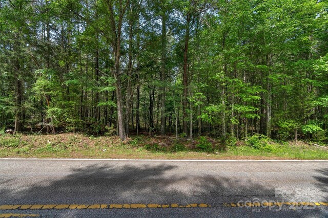 0000 Green Rd, Lancaster, SC 29720 - photo 35