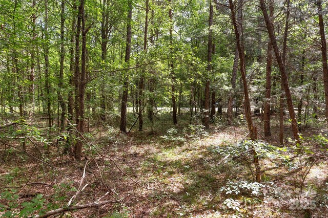 0000 Green Rd, Lancaster, SC 29720 - photo 36