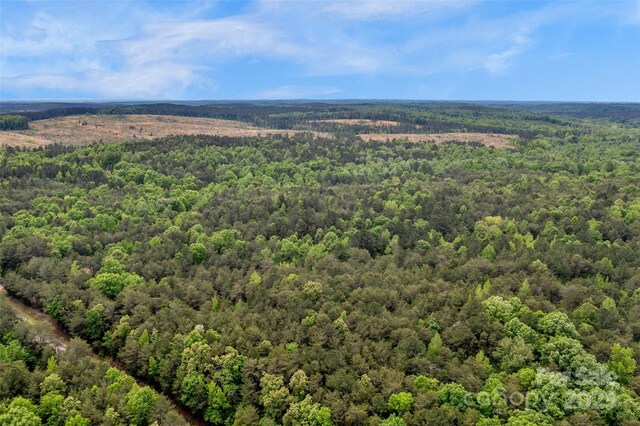0000 Green Rd, Lancaster, SC 29720 - photo 41