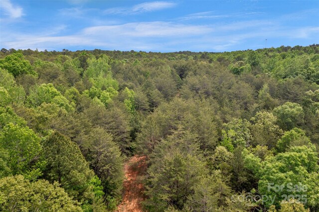 0000 Green Rd, Lancaster, SC 29720 - photo 43