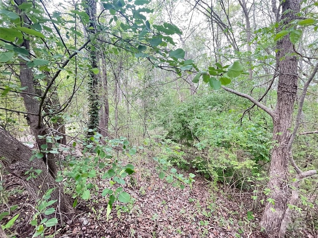 00 Moss Ct, Gastonia, NC 28054