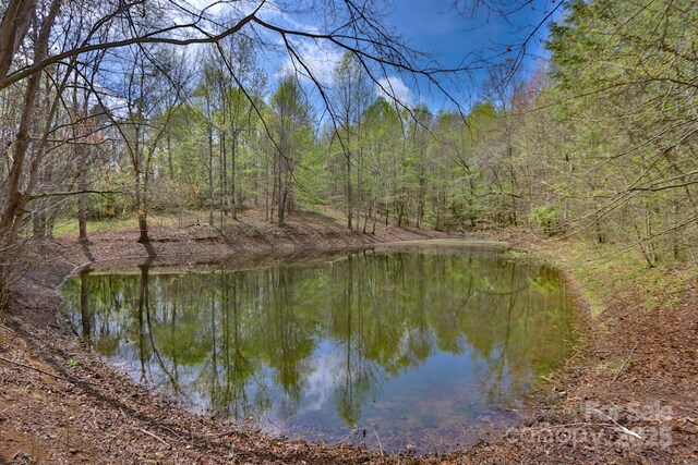 1636 Fred Hinshaw Rd, Yadkinville, NC 27055 - photo 4