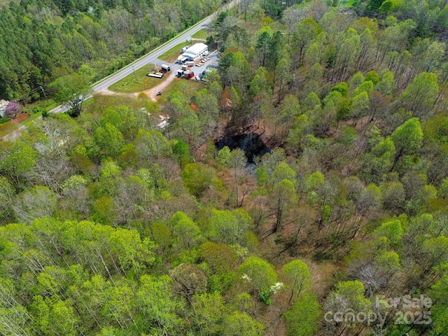 1636 Fred Hinshaw Rd, Yadkinville, NC 27055 - photo 5