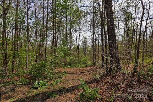 1636 Fred Hinshaw Rd, Yadkinville, NC 27055 - photo 8