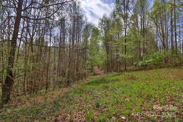 1636 Fred Hinshaw Rd, Yadkinville, NC 27055 - photo 9