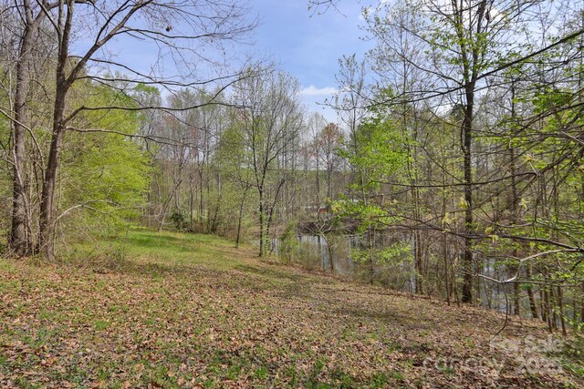 1636 Fred Hinshaw Rd, Yadkinville, NC 27055 - photo 10