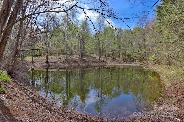 1636 Fred Hinshaw Rd, Yadkinville, NC 27055 - photo 11