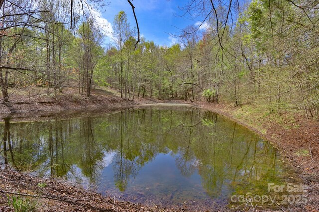 1636 Fred Hinshaw Rd, Yadkinville, NC 27055 - photo 12