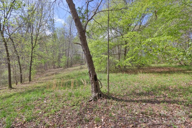 1636 Fred Hinshaw Rd, Yadkinville, NC 27055 - photo 13