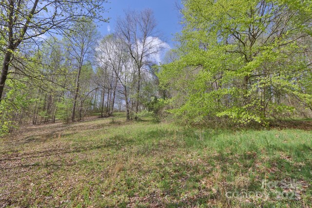 1636 Fred Hinshaw Rd, Yadkinville, NC 27055 - photo 15