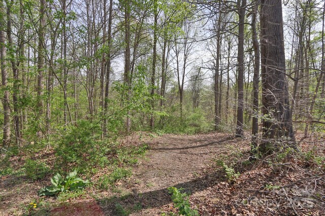 1636 Fred Hinshaw Rd, Yadkinville, NC 27055 - photo 16
