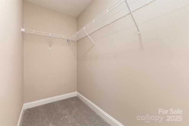 115 Frances St, Salisbury, NC 28147 - walk in closet featuring carpet floors