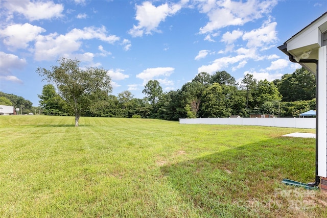 115 Frances St, Salisbury, NC 28147 - view of yard