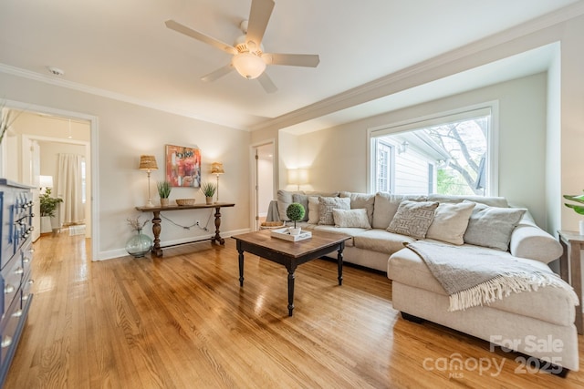 3510 Conway Ave, Charlotte, NC 28209 - living room with crown molding, light wood finished floors, ceiling fan, and baseboards