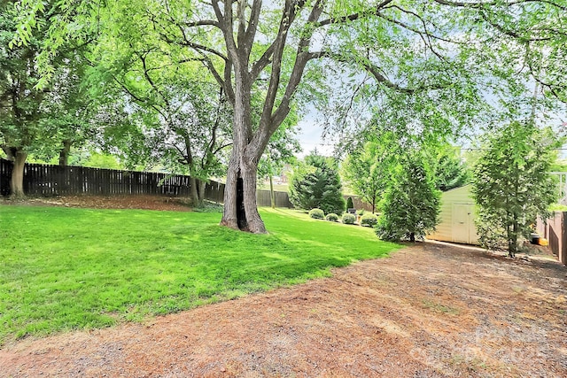 3510 Conway Ave, Charlotte, NC 28209 - view of yard