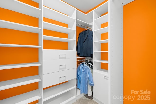 view of walk in closet