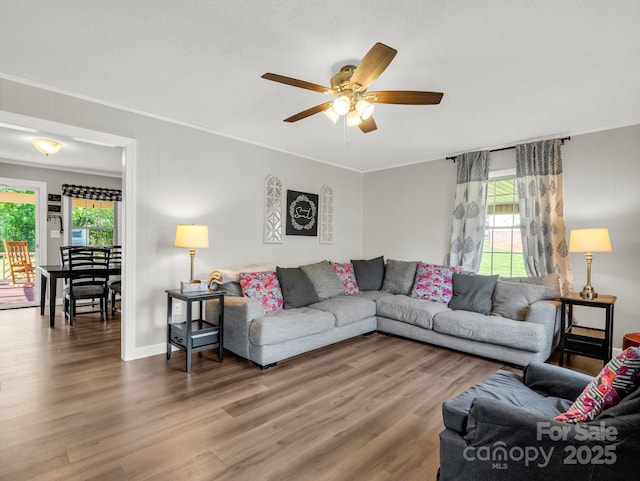 living room with crown molding, wood finished floors, a ceiling fan, and plenty of natural light