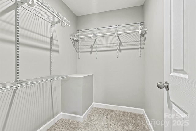 102 Kerda St, Taylorsville, NC 28681 - walk in closet with carpet