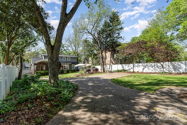 view of road with decorative driveway
