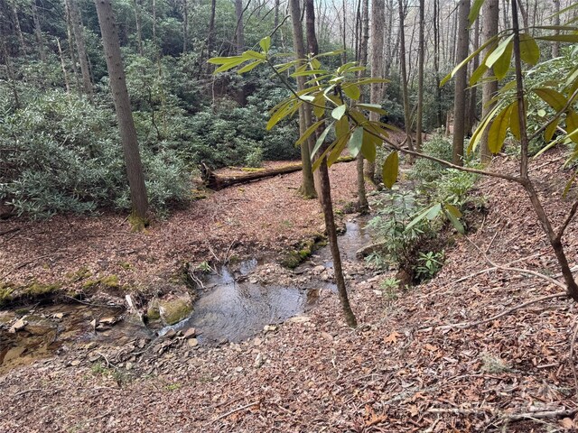 TRACTA Cherrywood Ln Unit A, Pisgah Forest, NC 28768
