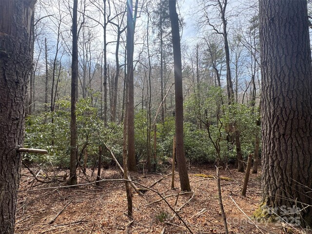TRACTA Cherrywood Ln Unit A, Pisgah Forest, NC 28768