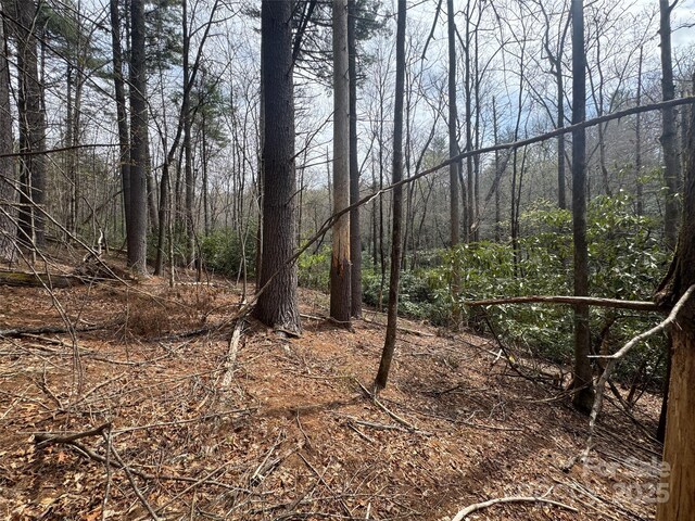 TRACTA Cherrywood Ln Unit A, Pisgah Forest, NC 28768