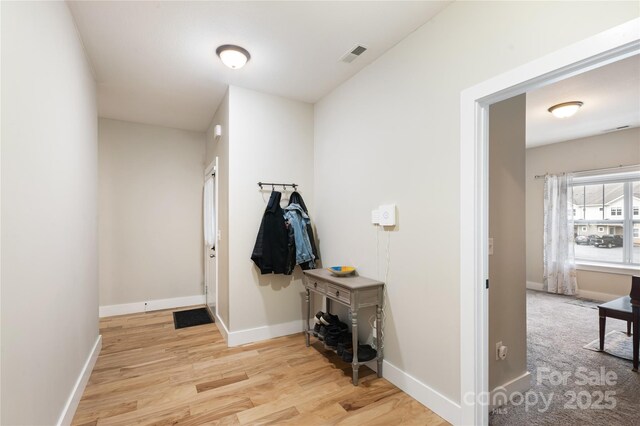 124 Foxden Dr Unit 303, Fletcher, NC 28732 - corridor with light wood-style flooring and baseboards